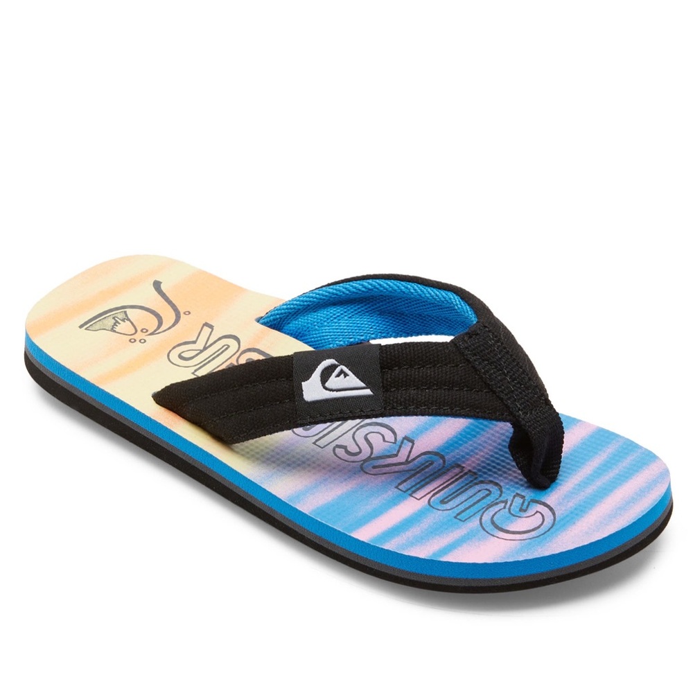 NWT Quiksilver Flip Flops
